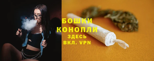 первитин Заводоуковск