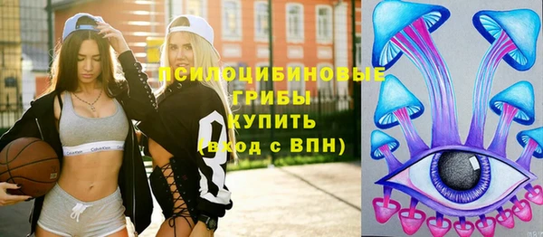 первитин Заводоуковск