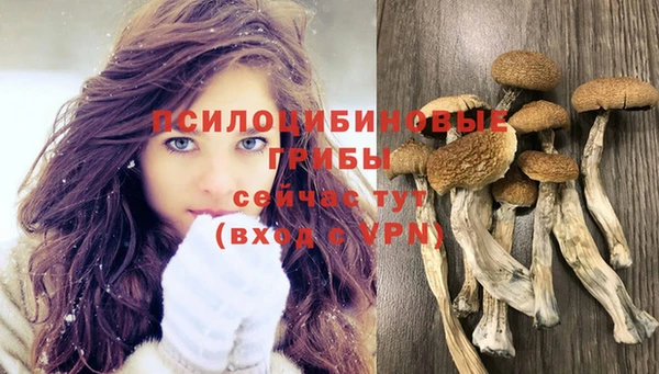 PSILOCYBIN Заволжск
